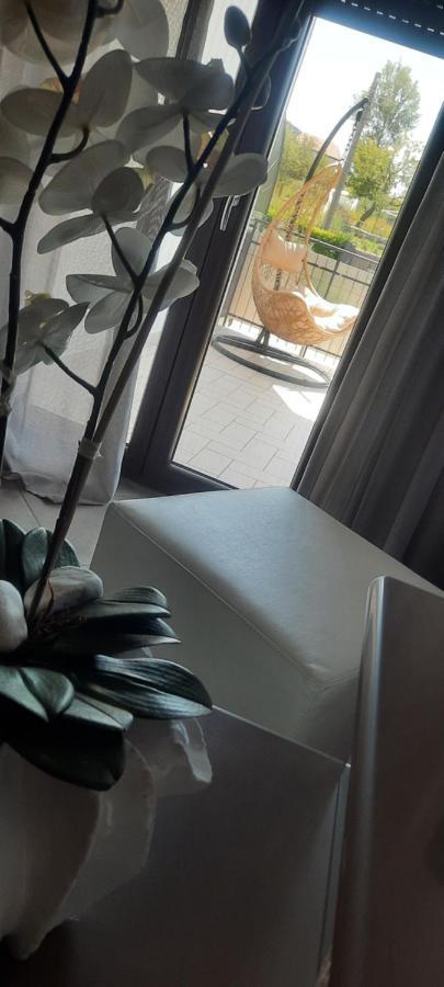 Alba Magica Bed & Breakfast Аджерола Екстериор снимка